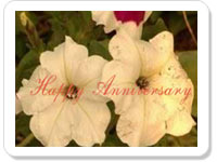 Wedding Anniversary Ecard- Blissful Life