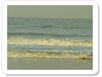 Engagement ecard- Love, Friendship & Joy