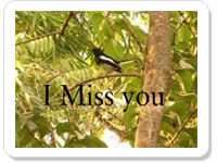 Miss you ecard- Life Isn't Worth Living