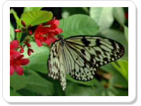 Spiritual ecard- A Prayer